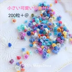 かすみ草ドライフラワー120粒レジンヘアゴム、ハンドメイド作品等に
