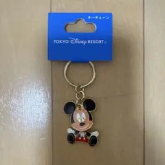 東京ディズニーリゾート ミッキーマウス キーホルダー