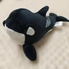 2026年最新】名古屋港水族館 シャチ ぬいぐるみの人気アイテム - メルカリ