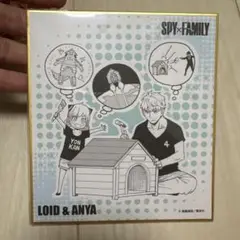 スパイファミリー　ロイド & アーニャ ミニ式にコレクション
