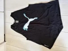 トレーニングウェア　PUMA タンクトップ　レディース　Sサイズ
