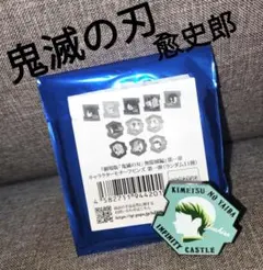 鬼滅の刃無限城愈史郎キャラクターモチーフピンズ
