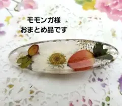 ももんが様 リクエスト 5点 まとめ商品