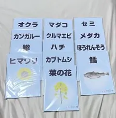 Item thumbnail for item 780d3a1f-293e-4c86-818c-f7099f0cefcc