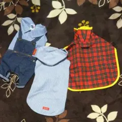 わんちゃん用 3点セット 新品