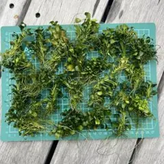 mayy様 リクエスト 2点 まとめ商品