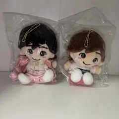 【お値下げ中】道枝駿佑　なにわ男子　ちびぬい　第一弾　第二弾　セット