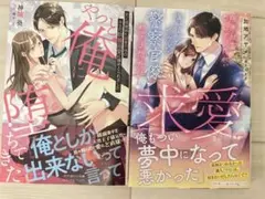 TL小説　ルネッタブックス　9月新刊