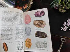 Item thumbnail for item 3dbbf8c1-331d-4768-b9c2-26b3686b85d5