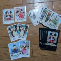 東京ディズニーリゾート コレクションカード 全30種コンプリートセット