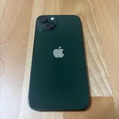 TW 13 グリーン　新品未使用　28cm 61NUWTUozwL._AC_UF350,