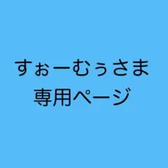 すぉーむぅさま専用　オーダー1点