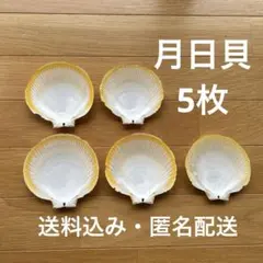 【送料込み匿名配送】月日貝5枚