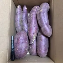 【訳あり品】千葉県産さつまいも 紅はるか 特大サイズ 約10kg