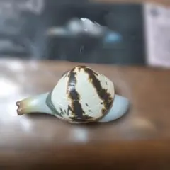 Item thumbnail for item 958167a5-6e57-41ac-820f-0184e0529f72