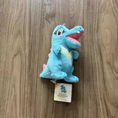 ポケパーク マスコット ワニノコ - メルカリ
