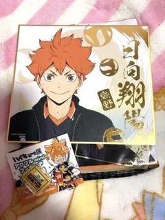 ハイキュー!! 日向翔陽 2点セット