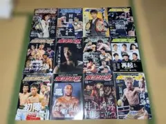 非売品 ボクシングマガジン 別冊付録 畑山隆則 - メルカリ