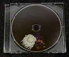 alley【CD】Black Swan｜ex.THE DONOR 金沢バンド