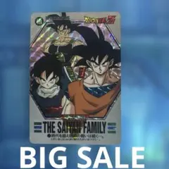 BIG SALE 良品　ドラゴンボール　カードダス バーコードウォーズ　5
