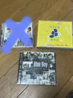 ブルーハーツ カセット 当時物 4本 甲本ヒロト クロマニヨンズ 