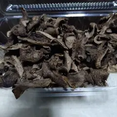 香茸　コウタケ　2.5キロ 楽天市場】香茸（食品）の通販