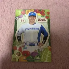 北海道日本ハムファイターズ トレカ