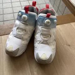 REEBOK INSTA PUMP FURY OG NM トリコロール