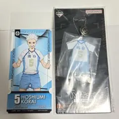鴎台5番星海光来 ハイキュー!!一番くじF賞＆チケットライクコレクション