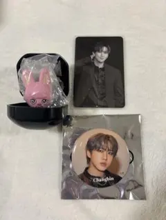StrayKids SKZOO チャンビン トゥエッキ