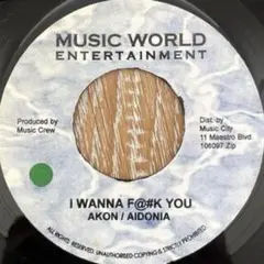 REGGAE REMIX akon 7インチ レコード