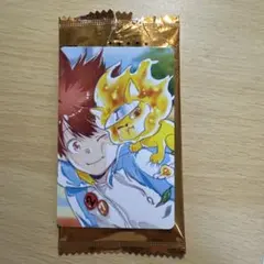 天野明展　購入特典　ツナ＆ナッツ 家庭教師ヒットマンREBORN
