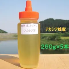❇️アカシア蜂蜜５本　国産 生はちみつ　非加熱ハチミツのサムネイル
