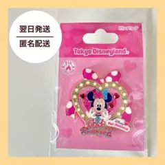 Disney ディズニー　パルパルーザ ミニーのファンダーランド　ピンバッジ