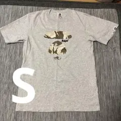 Item thumbnail for item dafc192e-8796-4911-8eb5-63c0311c83f1