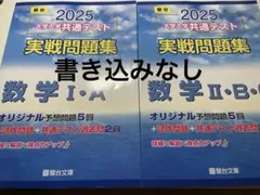駿台 2025 大学入学共通テスト 実践問題集 数学