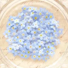 sato様 リクエスト 2点 まとめ商品