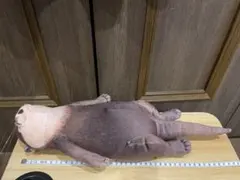 もっちり カワウソ ポーチ　へそ天ver you＋more フェリシモのサムネイル
