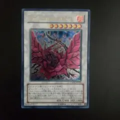 ブラック・ローズ・ドラゴン ウルトラレア CSOC-JP039