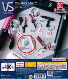 VS ミニチュアチャーム