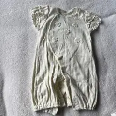 お花付き　50-60cm