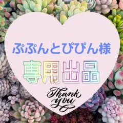 ぷぷんとぴぴん様 リクエスト 2点 まとめ商品