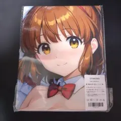 両面印刷 抱き枕カバー 2WAY 同人グッズ OTAMONO