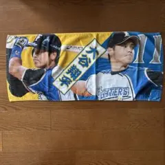 大谷翔平 タオル 日ハム