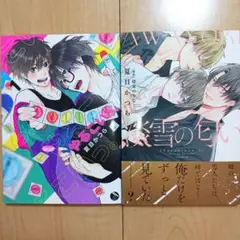 夏目かつら　2冊セット