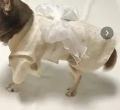 犬浴衣　珍しい刺繍生地　Mサイズ