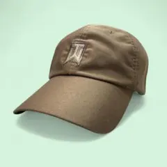NIKE ナイキ タイガーウッズ キャップ ベージュ系 ゴルフ ONE SIZE