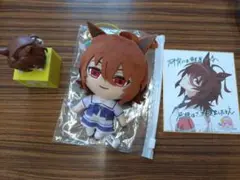 アグネスタキオン ぬいぐるみ ひっかけ フィギュア 色紙 セット