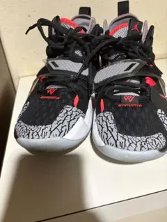 JORDAN WHY NOT ZERO.3 PFのサムネイル