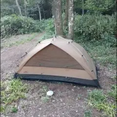 Item thumbnail for item 671805ac-b947-4dbb-9744-a8a6b66b8f83